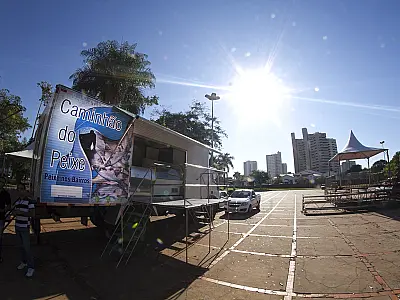Prefeitura incentiva comércio de peixe na Capital