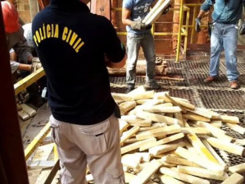 Policia Civil incinera mais de 640 kg de Maconha em Naviraí