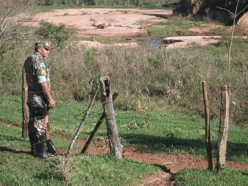 PMA autua arrendatário em R$ 5 mil por criar gado destruindo Matas Ciliares de córrego