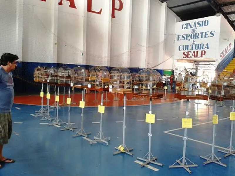Campo Grande sedia amanhã Torneio Nacional de Canto de Pássaros