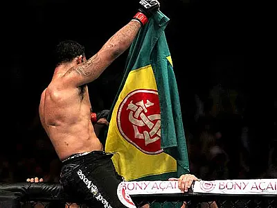 Minotauro vence Brendan Schaub por nocaute