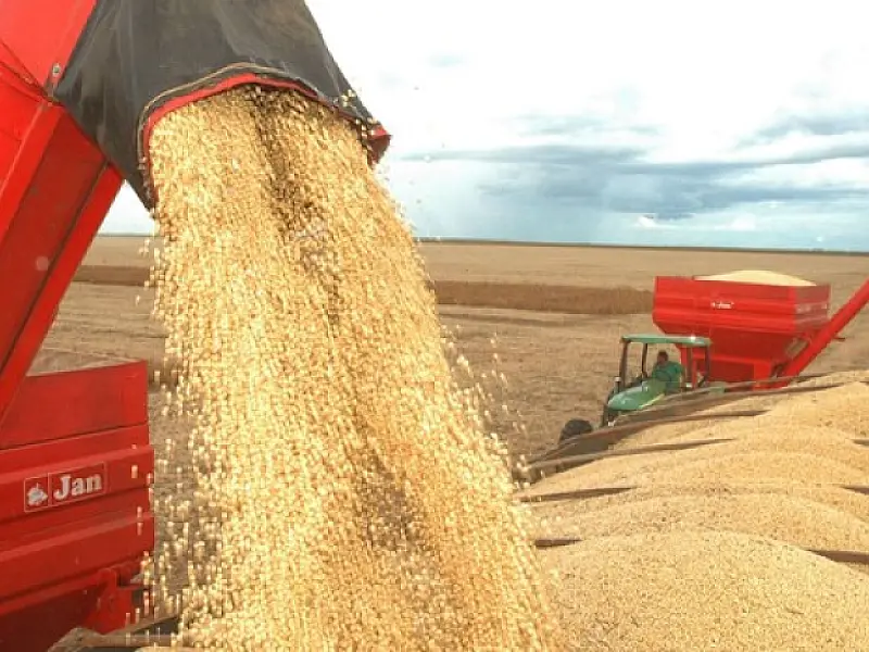 Agropecuária lidera os números da economia brasileira em 2015