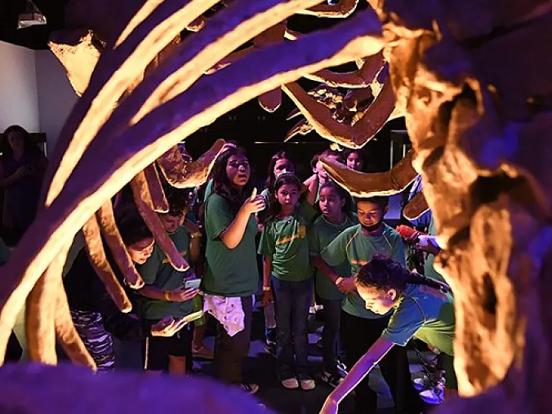 Nesta terça-feira, público geral terá a chance de conhecer o Bioparque Pantanal
