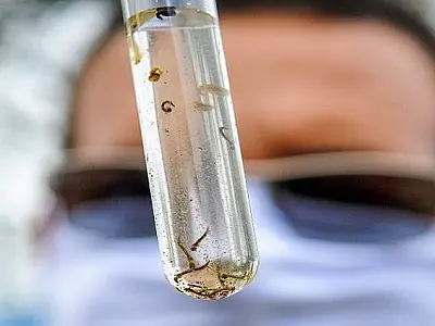 'Dia D' de combate à Dengue acontece nesta quinta-feira no Parque Ayrton Senna
