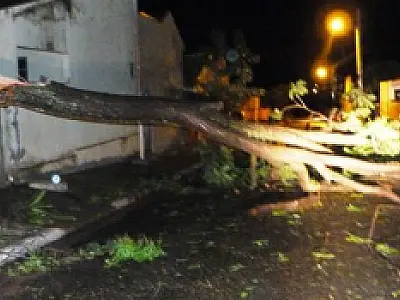 Chuva e vento forte causam estragos em Ivinhema