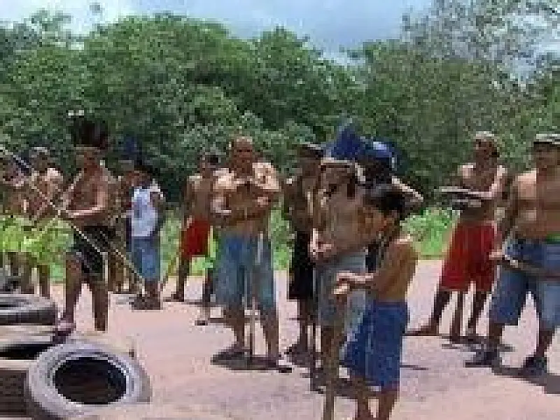 Terenas armados  invadem fazenda em Sidrolândia