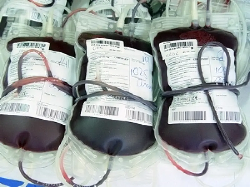 No Dia Mundial do Doador de Sangue MS precisa de voluntários