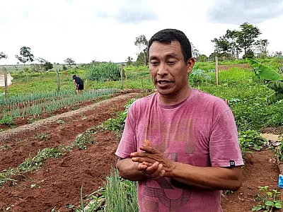 Agricultores familiares, indígenas e quilombolas têm até novembro