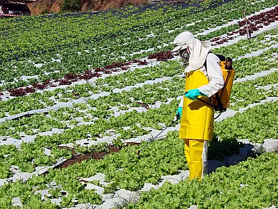 Produção de agrotóxicos genéricos no país pode ser regulamentada em breve