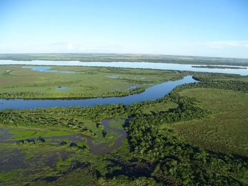 Dia do Meio Ambiente:Governo anuncia investimentos e medidas que fortalecem eixo da sustentabilidade