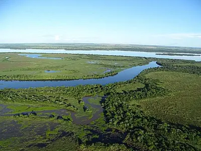 Dia do Meio Ambiente:Governo anuncia investimentos e medidas que fortalecem eixo da sustentabilidade