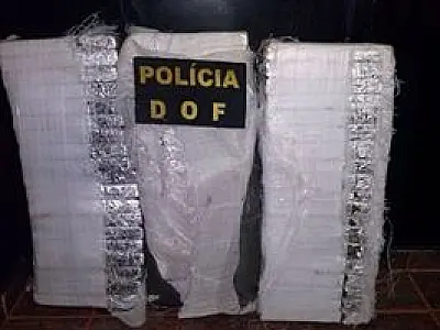 DOF apreende 35,5Kg de maconha em bar