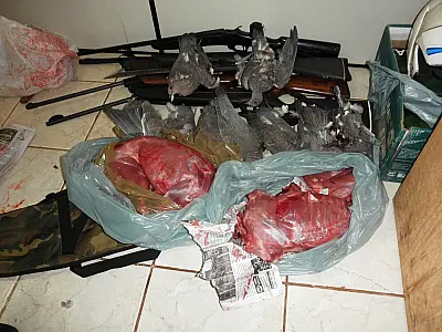 PMA autua três caçadores com arma e animais abatidos