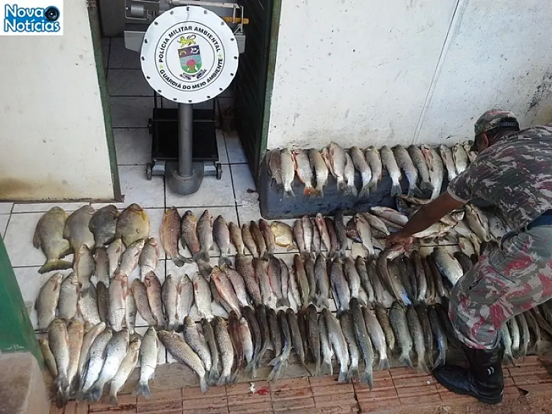 PMA prende turista com pescado acima da cota em Bonito