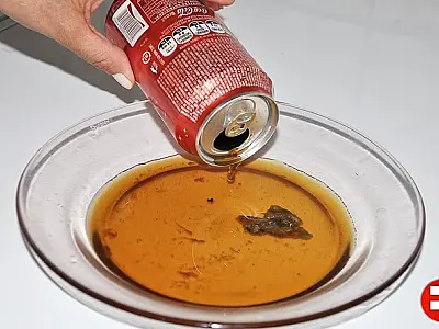 Substância estranha é encontrada em lata de Coca-cola no interior