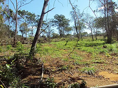 PMA autua fazendeiro em R$ 5,1 mil por desmatamento ilegal