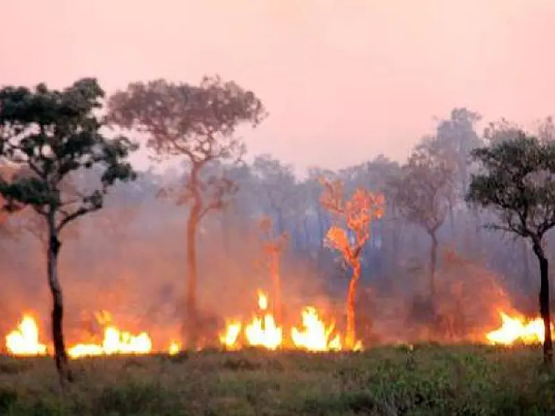 Durante estiagem, bombeiros reforçam fiscalização para evitar queimadas em vegetação