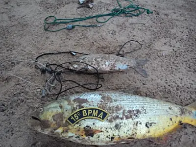 Pai e filho são autuados por pesca predatória no rio Aquidauana