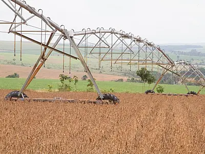 IBGE reduz em 5,7% previsão de safra para este ano