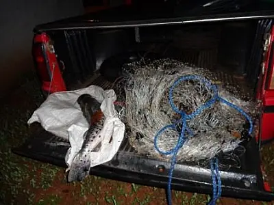 PMA apreende pescado capturado com tarrafa