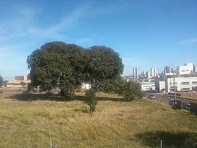 Inverno começa com temperatura agradável em MS