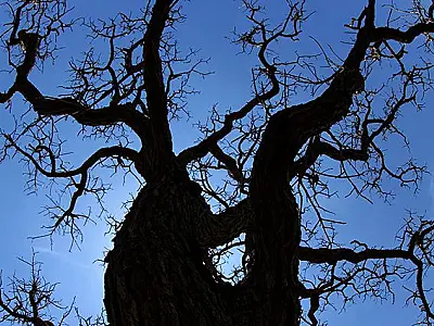 Saiba como será a primeira semana de outono em Mato Grosso do Sul
