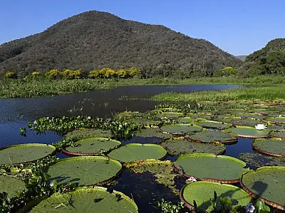 Mato Grosso do Sul é o único estado a implementar todos os instrumentos da governança climática