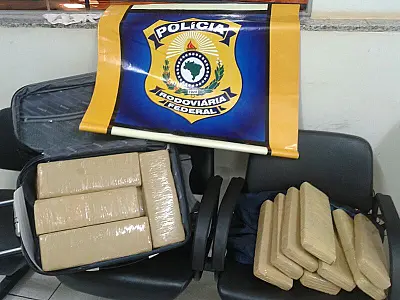 Policiais encontram dogras com duas menores em MS