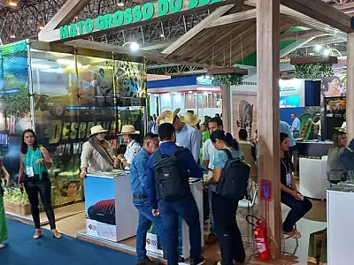 MS leva gastronomia, ações de compensação de carbono