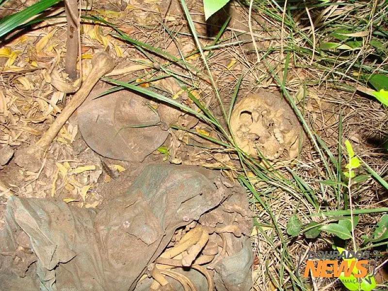 Polícia Civil de Caarapó encontra ossada humana perto de aldeia