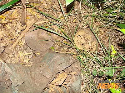 Polícia Civil de Caarapó encontra ossada humana perto de aldeia