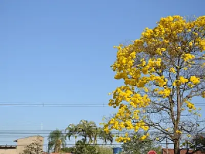 Temperatura na Capital chega a quase 40 graus