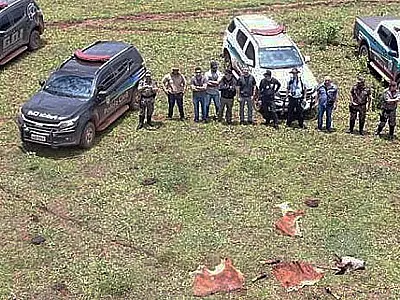 Representantes do setor rural de Coxim e Rio Verde comemoram criação da Deleagro
