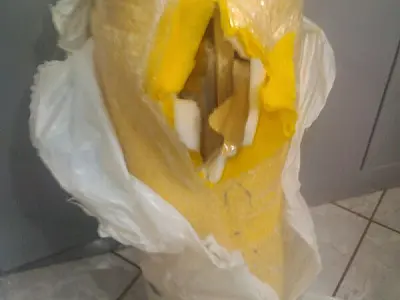 DOF apreende 16,7 kg de maconha em ônibus na MS 296