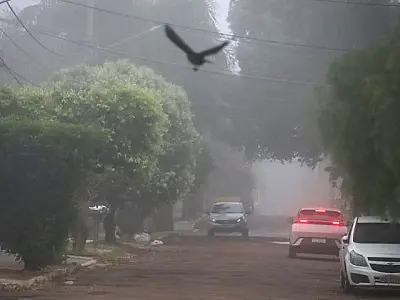 Previsão do tempo: intensa frente fria avança e provoca chuva e frio em Mato Grosso do Sul