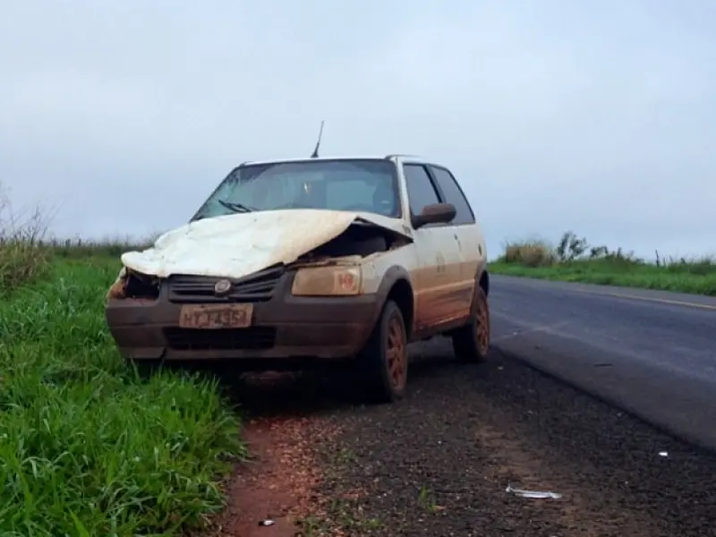 Animal provoca acidente na rodovia MS-276 neste sábado