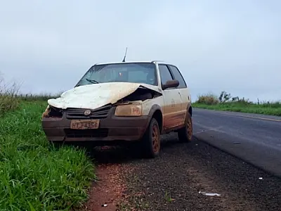 Animal provoca acidente na rodovia MS-276 neste sábado