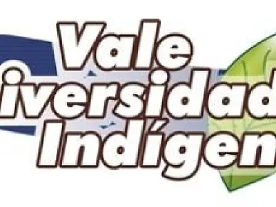 Vale-Universidade Indígena recebe inscrições a partir de hoje