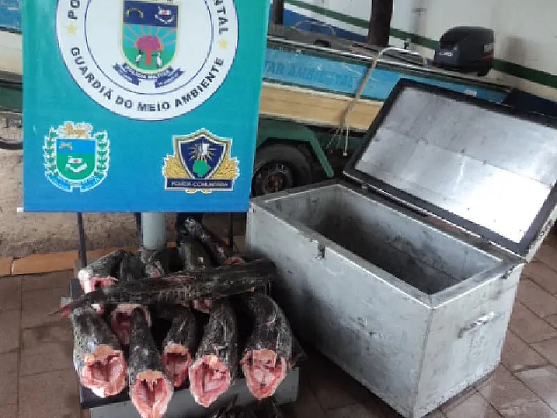 Turista paulista é preso com 57 kg de pescado ilegal em Miranda