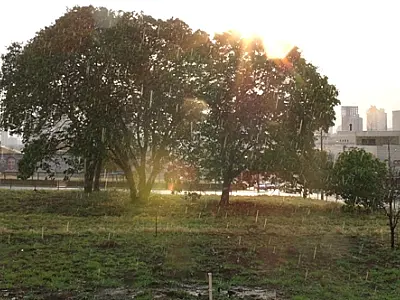 Chuva aumenta umidade, mas alerta continua na Capital
