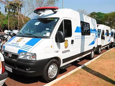 Sistema Penitenciário Estadual recebe sete veículos-celas
