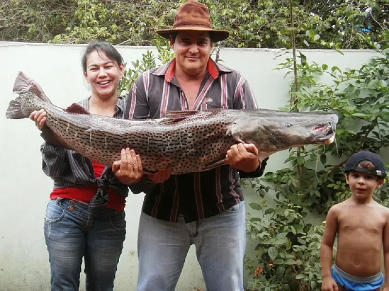 Pescador presenteia esposa com pintado de 40 kg
