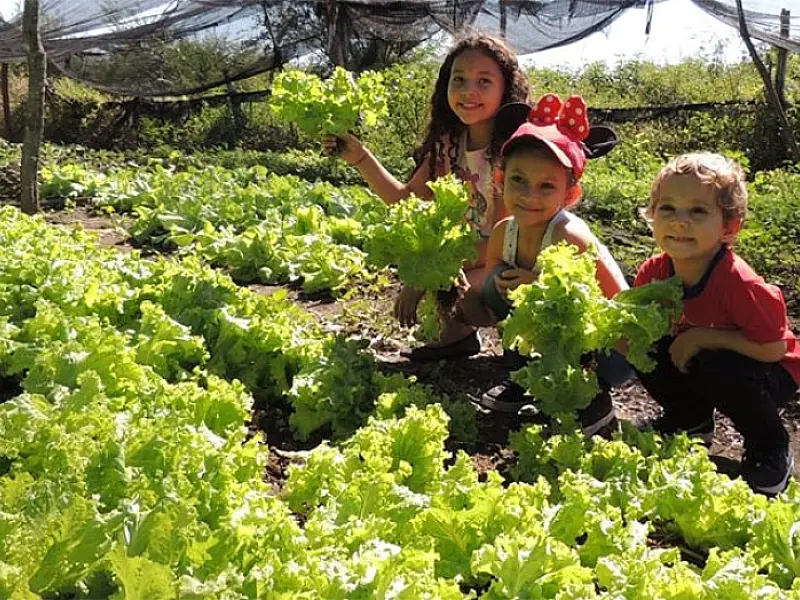 Projeto de produção agroecológica leva agricultores familiares à universidade para plantar ciênciaAo