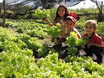 Projeto de produção agroecológica leva agricultores familiares à universidade para plantar ciênciaAo