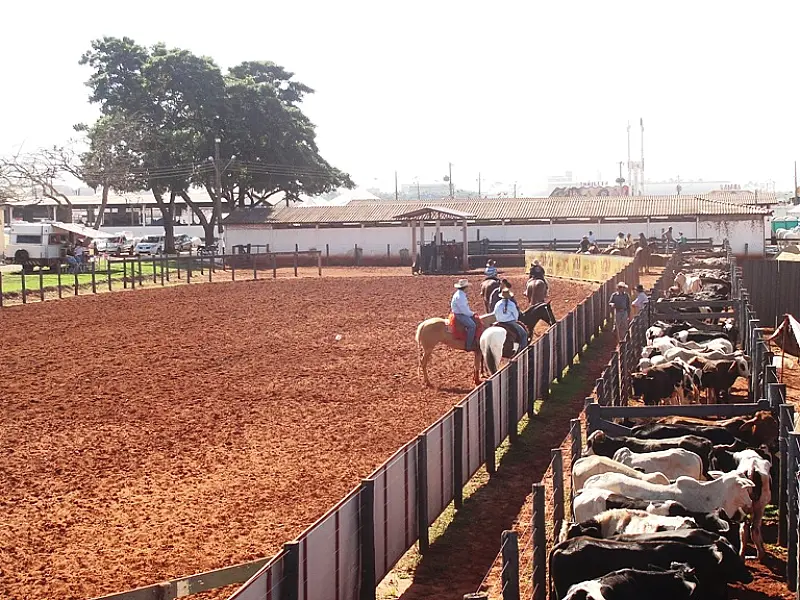 Provas de lanço comprido seguem até amanhã em Dourados