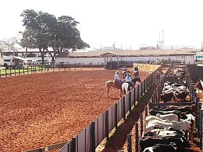 Provas de lanço comprido seguem até amanhã em Dourados