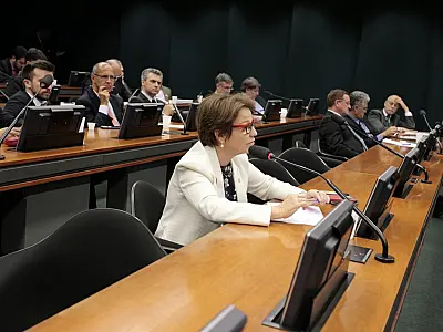Tereza Cristina defende modernidade para legislação que amplia controle do uso de sementes melhoradas