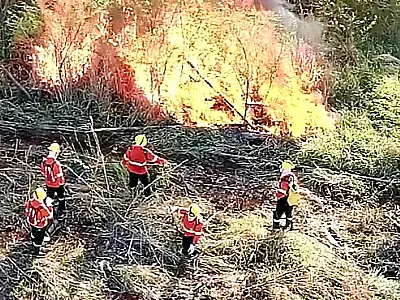 Ações de prevenção, monitoramento e pronta atuação dos bombeiros reduzem em 81% focos de calor no Pa