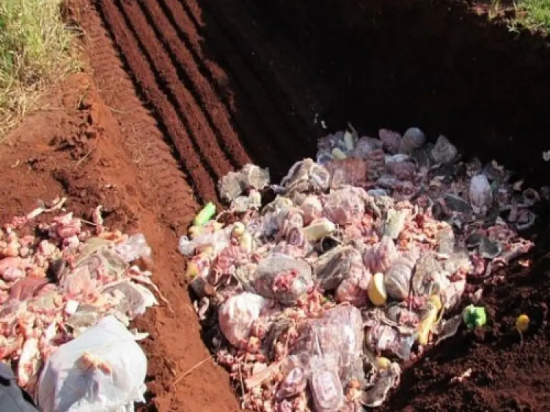 Itaporã recolhe mais de 500 quilos de carne estragada