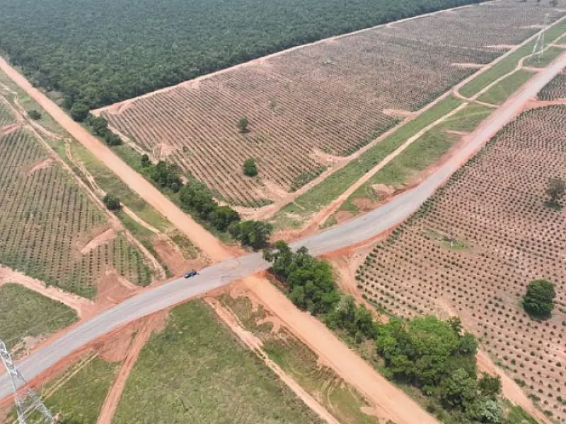 Governo de MS e Suzano firmam parceria para recuperar 378 km de rodovias em MS